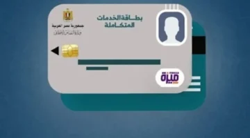الاستعلام الرقمي.. تحقق من كارت الخدمات المتكاملة 2026 برقمك القومي عبر بوابة وزارة التضامن الرسمية